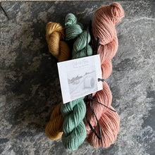 Load image into Gallery viewer, BFL 4ply/Fingering Sets