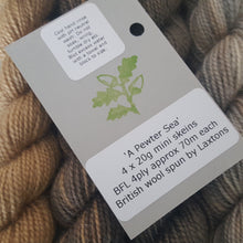 Load image into Gallery viewer, BFL Fingering 'A Pewter Sea' Mini Set