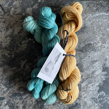 Load image into Gallery viewer, BFL 4ply/Fingering Sets