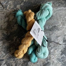 Load image into Gallery viewer, BFL 4ply/Fingering Sets