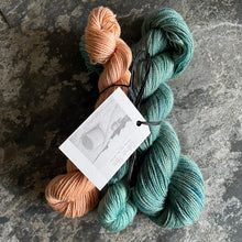 Load image into Gallery viewer, BFL 4ply/Fingering Sets