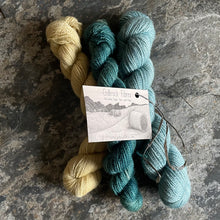 Load image into Gallery viewer, BFL 4ply/Fingering Sets