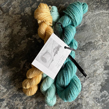 Load image into Gallery viewer, BFL 4ply/Fingering Sets