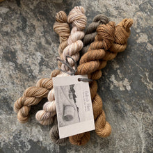 Load image into Gallery viewer, BFL Fingering 'A Pewter Sea' Mini Set