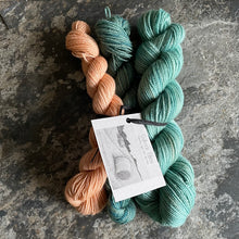 Load image into Gallery viewer, BFL 4ply/Fingering Sets
