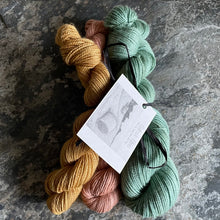 Load image into Gallery viewer, BFL 4ply/Fingering Sets